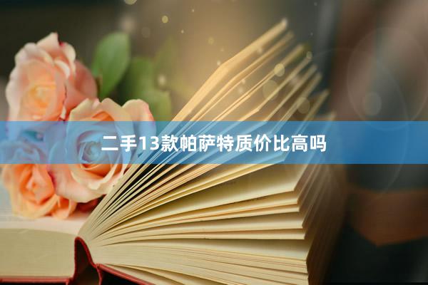 二手13款帕萨特质价比高吗